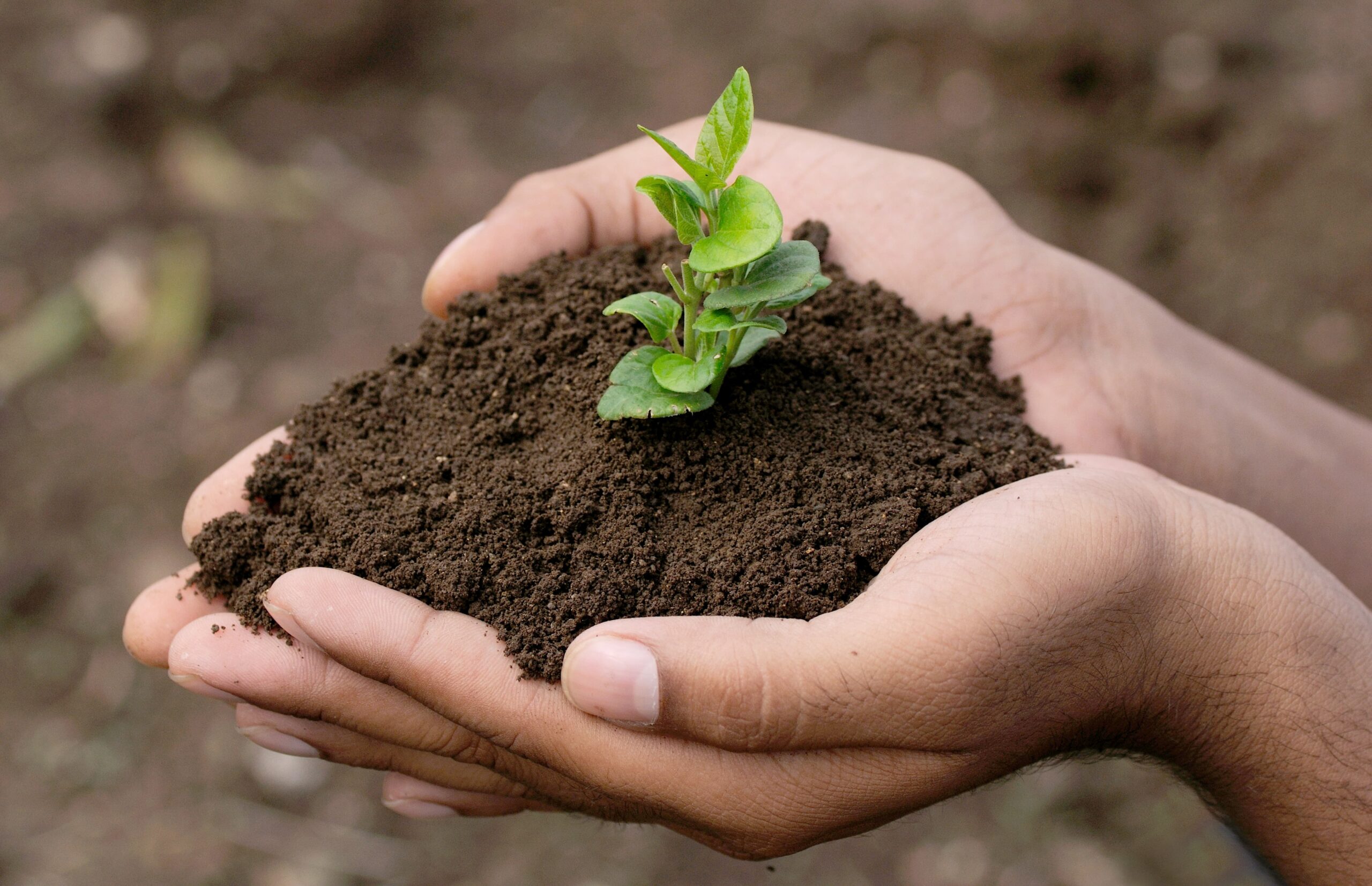 cuidemos el medioambiente
