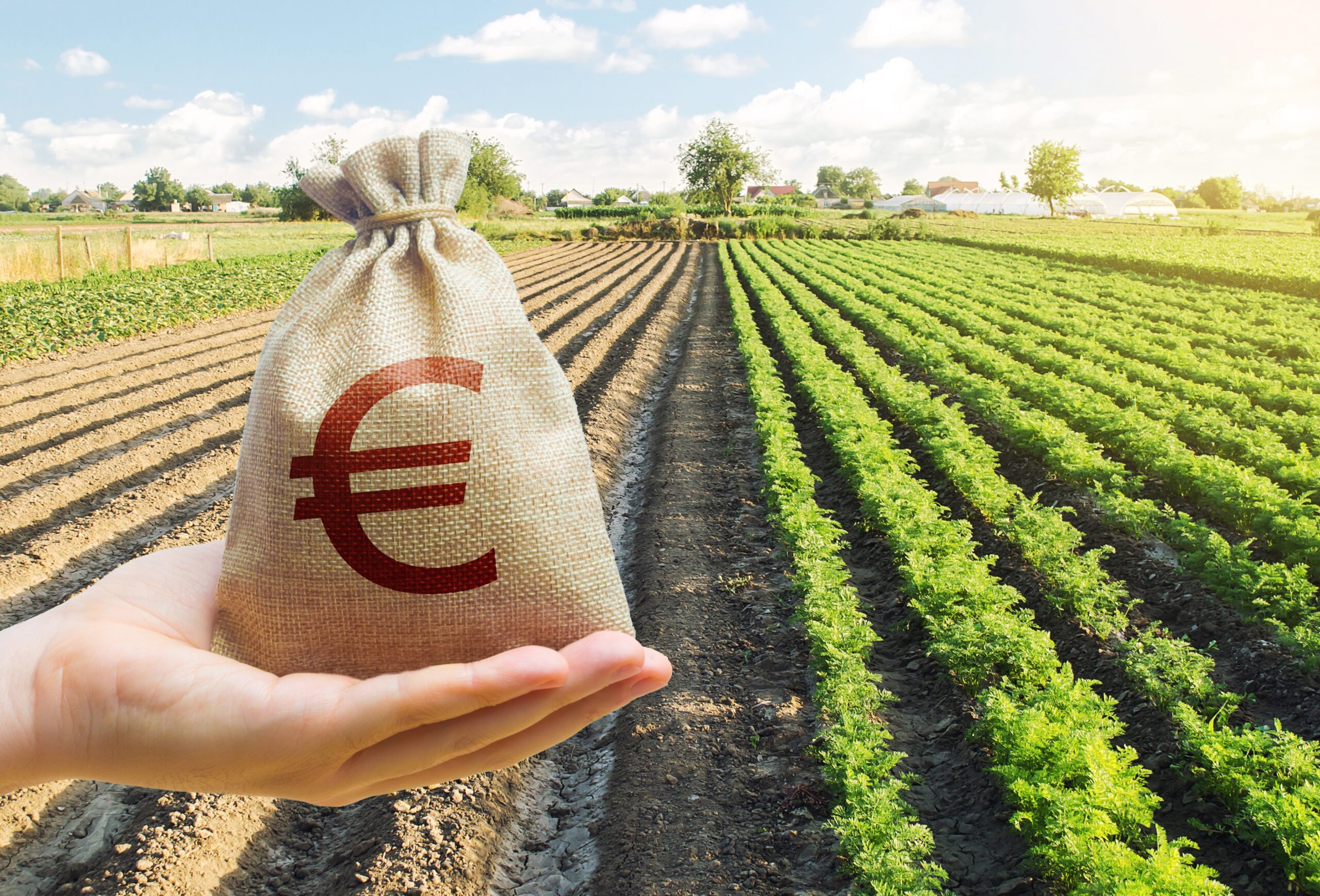 diferencia entre renta agraria y subsidio agrario