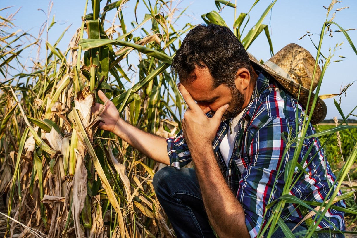como evitar riesgos empresariales campo fiebre aftosa